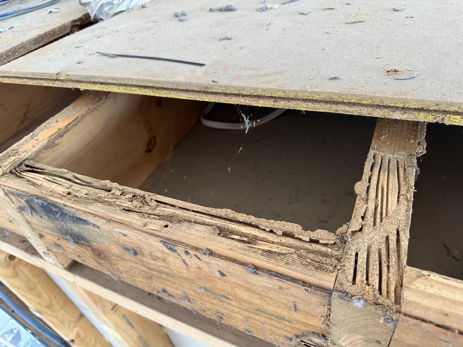Termite damage — cabinetry